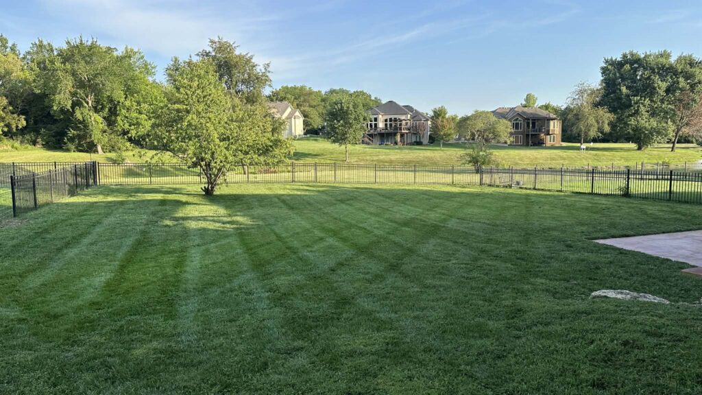 059b7fb9 ff82 4d2c 88e5 1a1aadcd3360