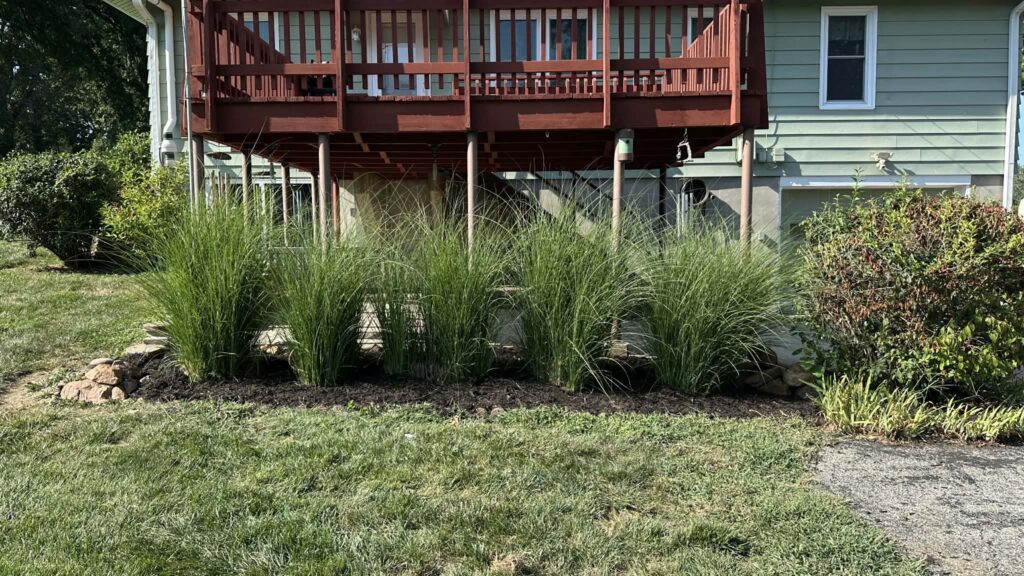 3aa56784 55d2 4da3 95f6 2f7c71fc2c90