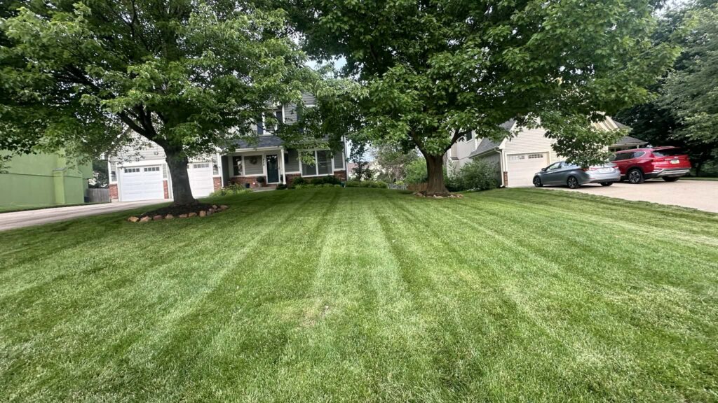 5a214f55 09b3 4ea8 8b90 14c0b58f5f38