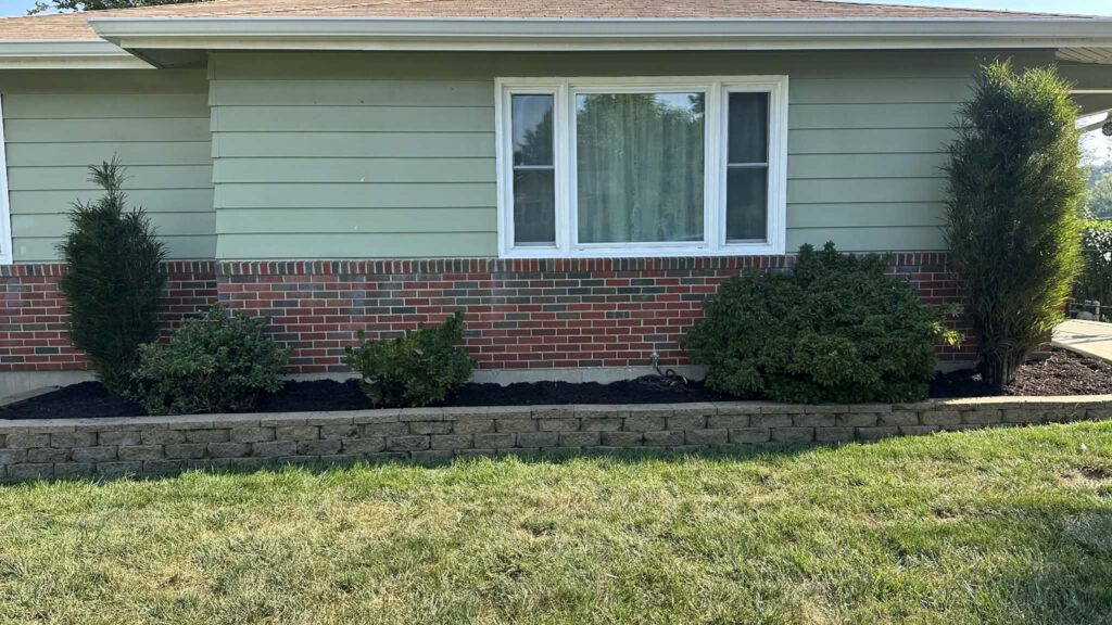 C998f0b0 b086 4985 b9f3 193201ca6670